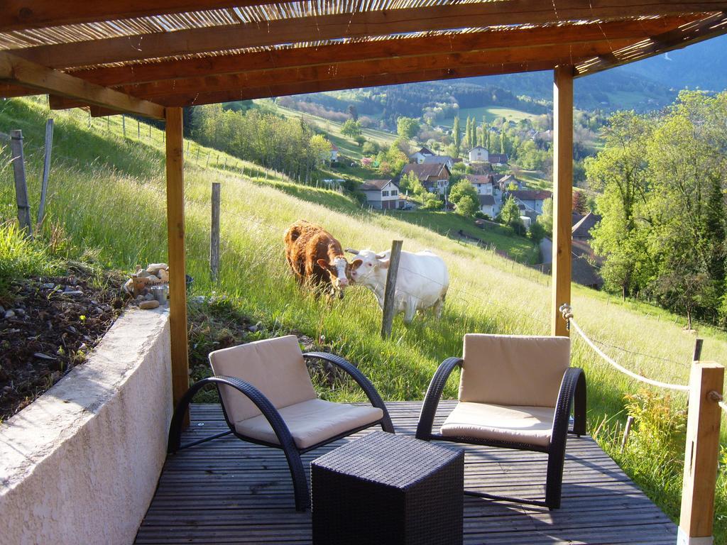 Gite Au Coeur Du Chalet En Belledonne Vers Prapoutel Les 7 Laux Sainte-Agnes  Room photo